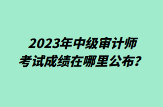 2023年中級(jí)審計(jì)師考試成績在哪里公布？