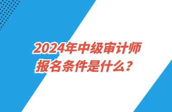 2024年中級審計師報名條件是什么？