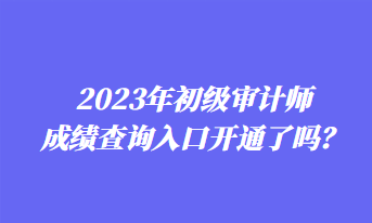 2023年初級(jí)審計(jì)師成績(jī)查詢?nèi)肟陂_通了嗎？