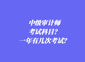 中級(jí)審計(jì)師考試科目？一年有幾次考試？