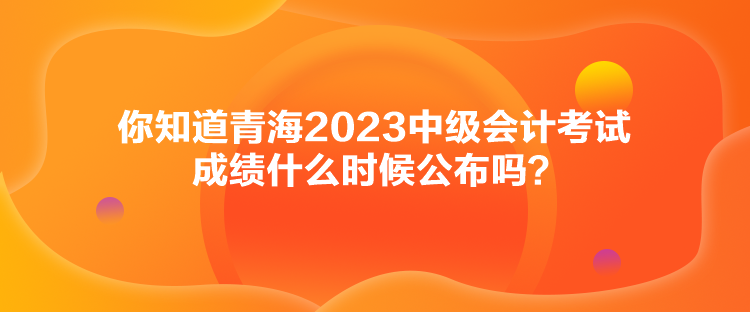 你知道青海2023中級會計考試成績什么時候公布嗎？