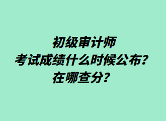 初級審計(jì)師考試成績什么時(shí)候公布？在哪查分？