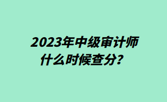 2023年中級審計師什么時候查分？