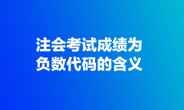 注會(huì)考試成績(jī)?yōu)樨?fù)數(shù)代碼的含義