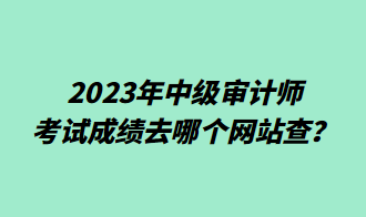 2023年中級(jí)審計(jì)師考試成績(jī)?nèi)ツ膫€(gè)網(wǎng)站查？