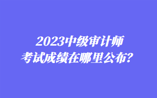 2023中級審計師考試成績在哪里公布？