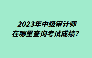 2023年中級審計(jì)師在哪里查詢考試成績？