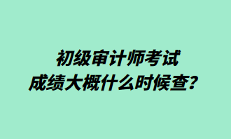 初級審計師考試成績大概什么時候查？