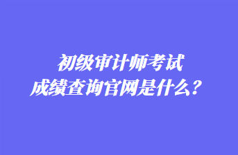 初級審計(jì)師考試成績查詢官網(wǎng)是什么？