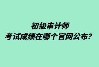 初級(jí)審計(jì)師考試成績(jī)?cè)谀膫€(gè)官網(wǎng)公布？