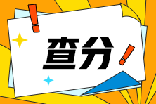 河南省2024年注會(huì)查分入口開(kāi)啦！快來(lái)查分！