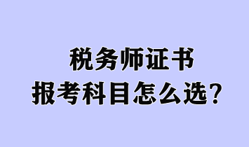 稅務(wù)師證書報考科目怎么選