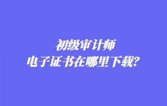 初級審計師電子證書在哪里下載？