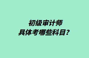 初級審計師具體考哪些科目？