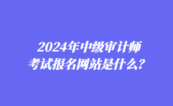 2024年中級(jí)審計(jì)師考試報(bào)名網(wǎng)站是什么？