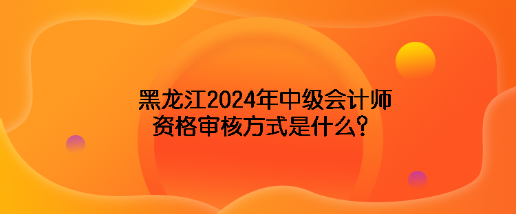 海南2024年中級(jí)會(huì)計(jì)師資格審核方式是什么？