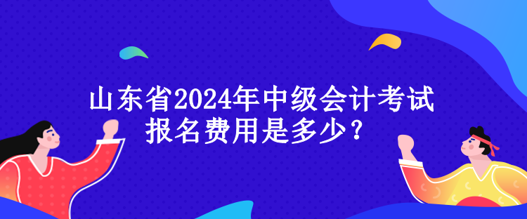 山東省2024年中級(jí)會(huì)計(jì)考試報(bào)名費(fèi)用是多少？