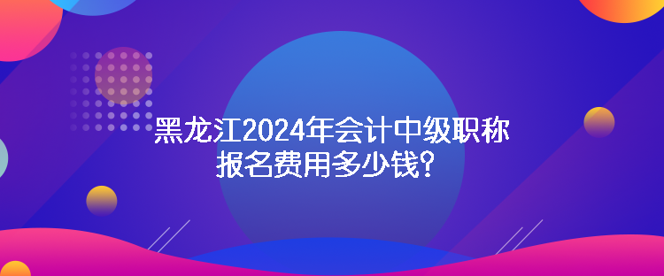 黑龍江2024年會計(jì)中級職稱報(bào)名費(fèi)用多少錢？