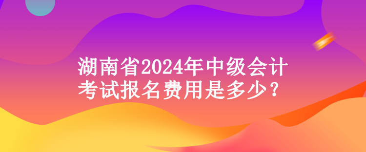 湖南省2024年中級(jí)會(huì)計(jì)考試報(bào)名費(fèi)用是多少？