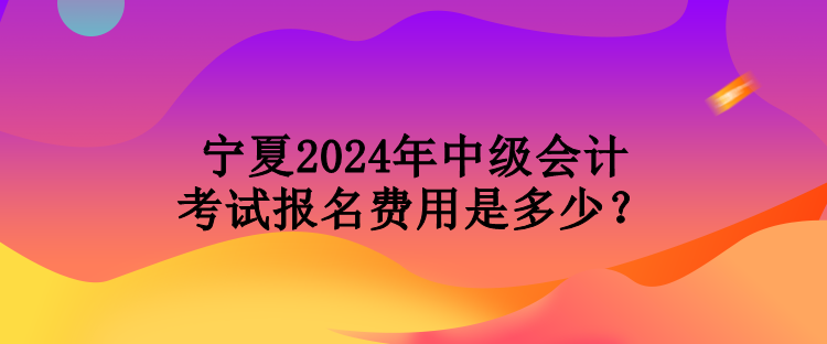 寧夏2024年中級(jí)會(huì)計(jì)考試報(bào)名費(fèi)用是多少？