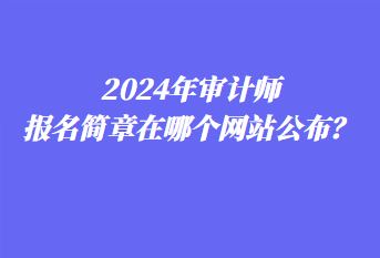 2024年審計(jì)師報(bào)名簡(jiǎn)章在哪個(gè)網(wǎng)站公布？