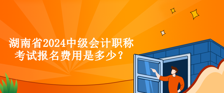 湖南省2024中級會計(jì)職稱考試報(bào)名費(fèi)用是多少？