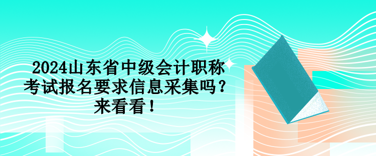 2024山東省中級會計職稱考試報名要求信息采集嗎？來看看！