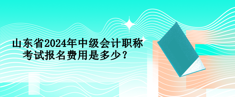 山東省2024年中級會計職稱考試報名費用是多少？