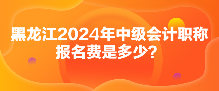 黑龍江2024年中級會計(jì)職稱報(bào)名費(fèi)是多少？