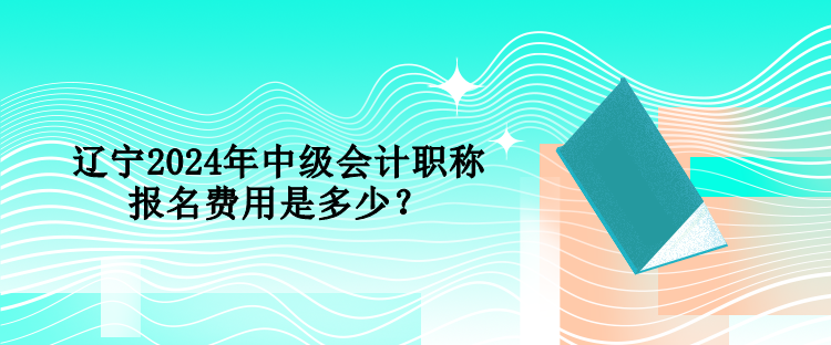 遼寧2024年中級(jí)會(huì)計(jì)職稱報(bào)名費(fèi)用是多少？