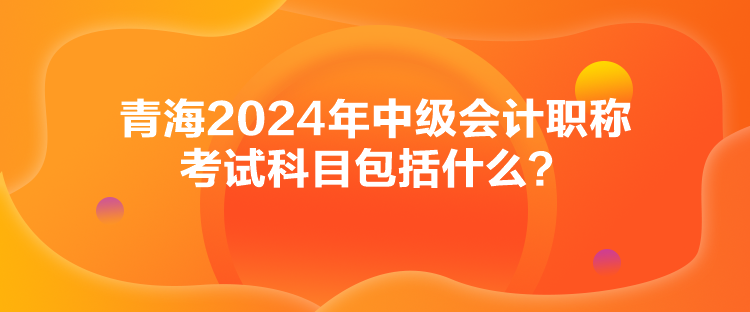 青海2024年中級(jí)會(huì)計(jì)職稱(chēng)考試科目包括什么？