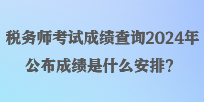 稅務師考試成績查詢2024年公布成績是什么安排？