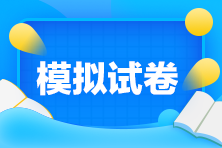 2024年稅務師《涉稅服務實務》考前沖刺試卷